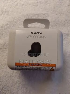 Sony WF-100XM6 Wireless Earbuds