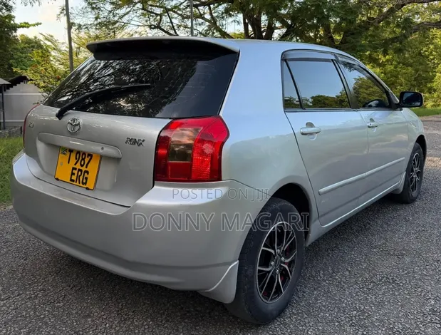 Toyota Corolla RunX 2007 Silver - 1