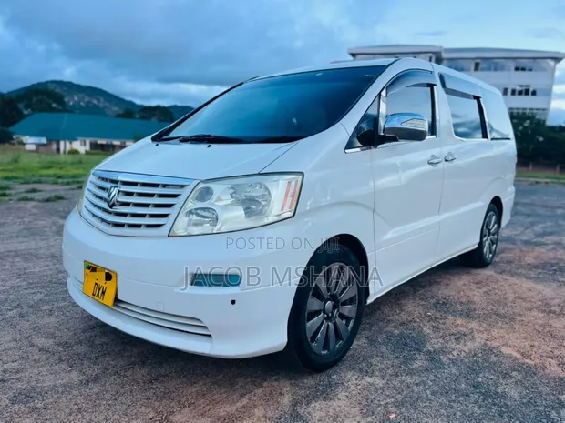 Toyota Alphard 2008 Nyeupe - 1