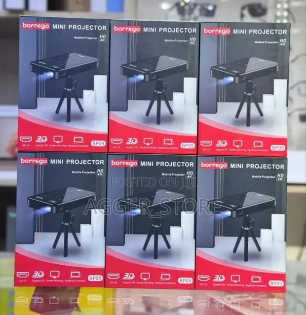Borrego Mini Projector (Mobile Projector) - 1