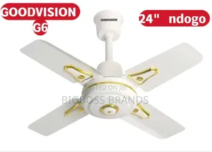 Good Vision Ceiling Fan 24 Inch