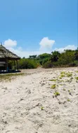 10 Acres Beach Plot for Sale at Kigamboni Dege - 5