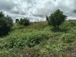 Shamba la Parachichi kwa Mauzo - Eka 100, Njombe - 1