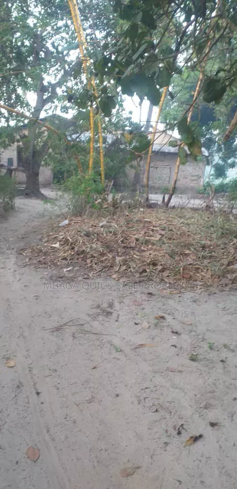 Shamba la Eka 29 Linauzwa Mkuranga Mwanambaya - 1