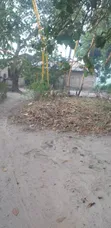 Shamba la Eka 29 Linauzwa Mkuranga Mwanambaya - 1