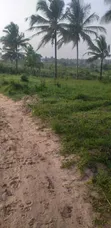 Shamba la Eka 29 Linauzwa Mkuranga Mwanambaya - 2