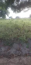 Shamba la Eka 29 Linauzwa Mkuranga Mwanambaya - 4