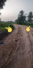 Shamba la Eka 29 Linauzwa Mkuranga Mwanambaya - 5