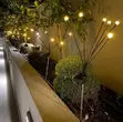 Mwanga wa Solar wa Bustani wa Firefly - 2