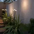 Mwanga wa Solar wa Bustani wa Firefly - 5