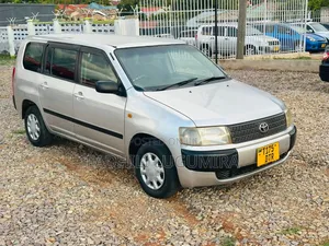 Toyota Probox 2004 Kijivu
