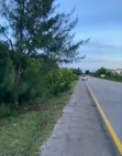 Plot for Sale in Makunduchi, Zanzibar - 1