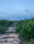 Plot for Sale in Makunduchi, Zanzibar - 5