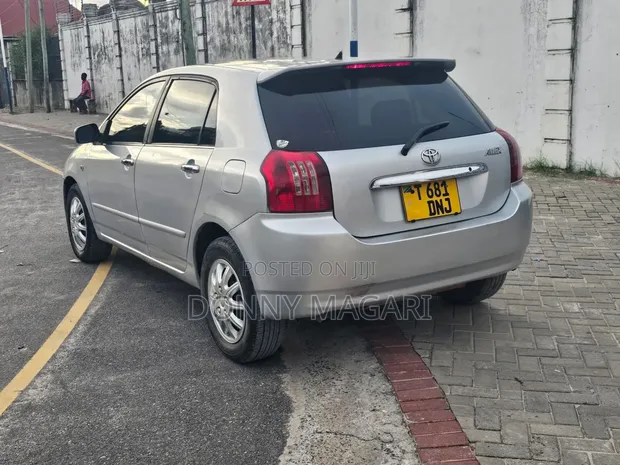 Toyota Allex 2002 Nyeupe - 1