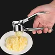 Brand New Stainless Steel Garlic Press - 1