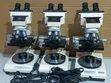 Swift M1000-D Compound Binocular Microscope - 4
