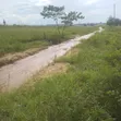 Plot for Sale Kibaha Mlandizi - 1.5 Acres - 1