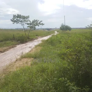 Plot for Sale Kibaha Mlandizi - 1.5 Acres