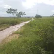 Plot for Sale Kibaha Mlandizi - 1.5 Acres - 2