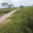 Plot for Sale Kibaha Mlandizi - 1.5 Acres - 3