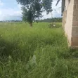 Plot for Sale Kibaha Mlandizi - 1.5 Acres - 4