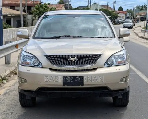 Toyota Harrier 2004 Gold - 1