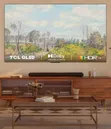 TCL 43" QLED Google TV - 2