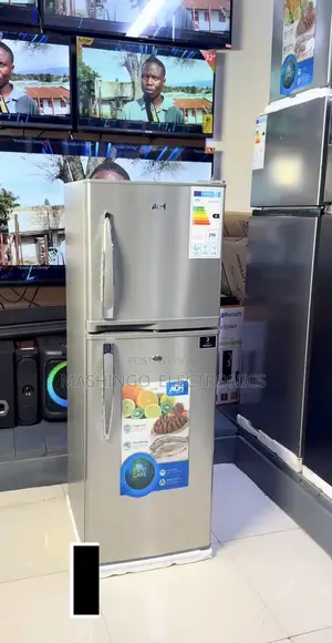 Friji la ADH 170L Model ARF 69 SS