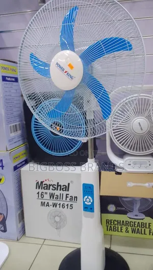 Powerking Rechargeable Stand Fan 18"