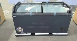 539L Europe 2-Door Showcase Chest Freezer - Brand New