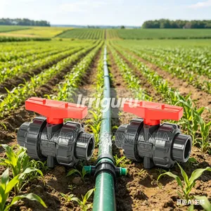 Double Union Ball Valve - 1 Inch