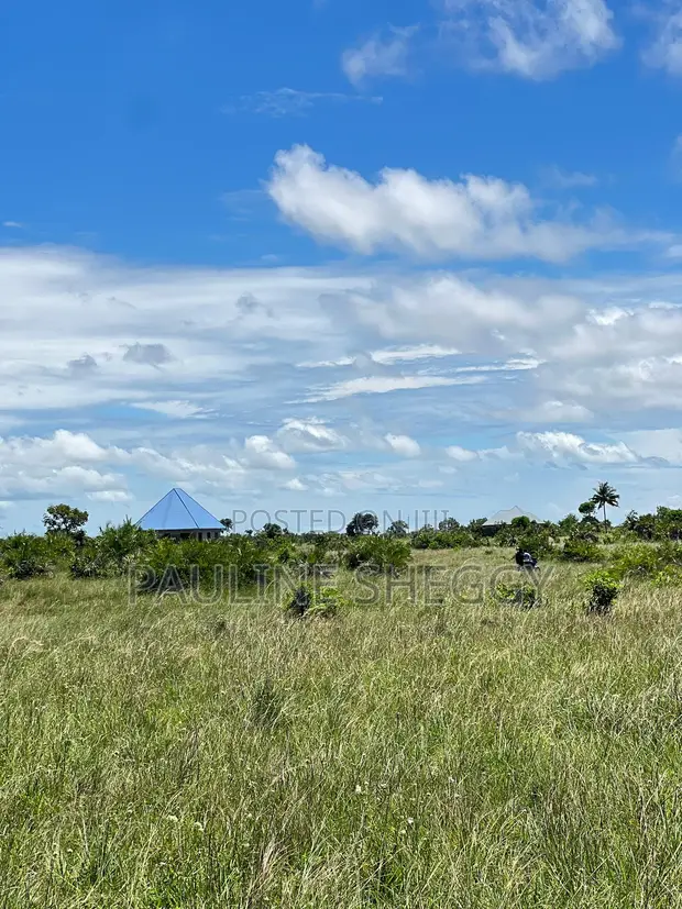 Ardhi Mpya ya Makazi Inauzwa, Buyuni Kigamboni - 1