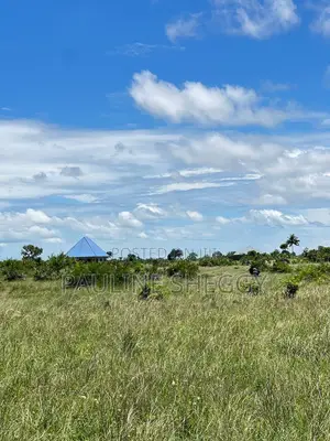 New Residential Land for Sale, Buyuni Kigamboni