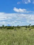 Ardhi Mpya ya Makazi Inauzwa, Buyuni Kigamboni - 1