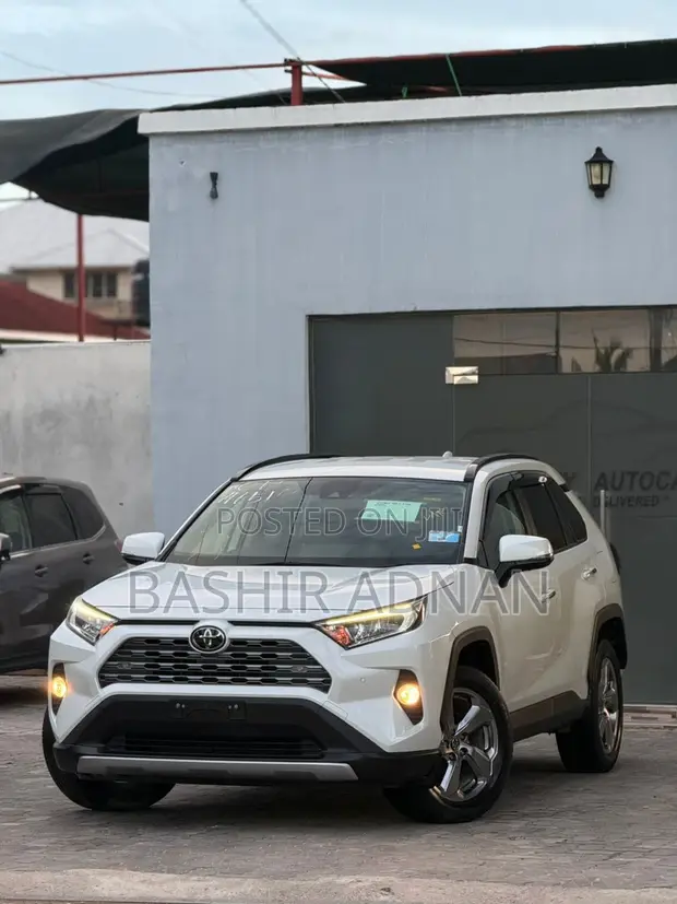 Toyota RAV4 2019 Pearl - 1