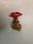 Euro Gate Valve 1/2" - 1