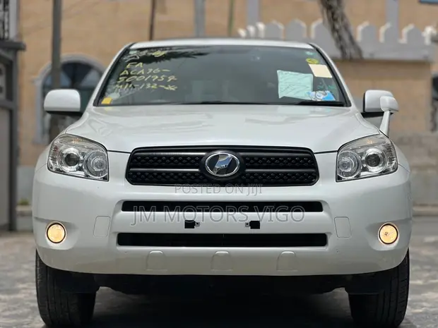 Toyota RAV4 2009 Pearl - 1