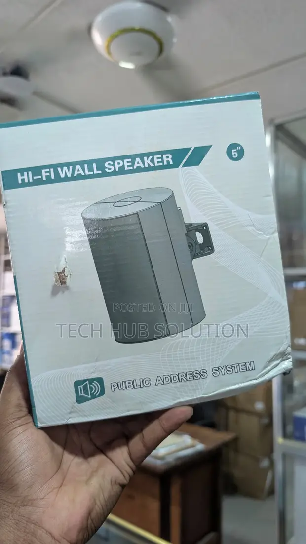 Hi-Fi Wall Mounted Speaker - 1