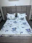 Brand New Bedsheets with Pillow Cases (Size 8/9) - 1