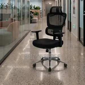 Modern Ergonomic Office Chair with Lumbar Support