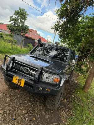 Toyota Land Cruiser 2019 Kijivu