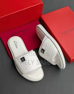 Men's Clarks Sandals - New Design