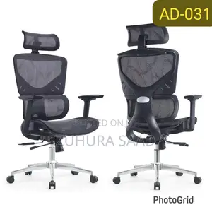 Ergonomic Office Chair with Lumbar Support