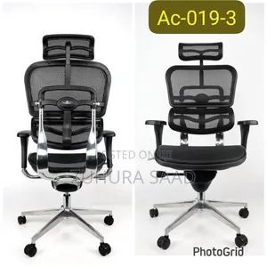 Executive Ergonomic Chair - Brand New