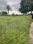 690sqm Plot for Sale in Kigamboni - 2