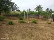 Land for Sale in Goba Kulangwa - 1