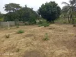 Land for Sale in Goba Kulangwa - 3