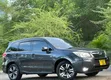 Subaru Forester 2015 Gray - 2