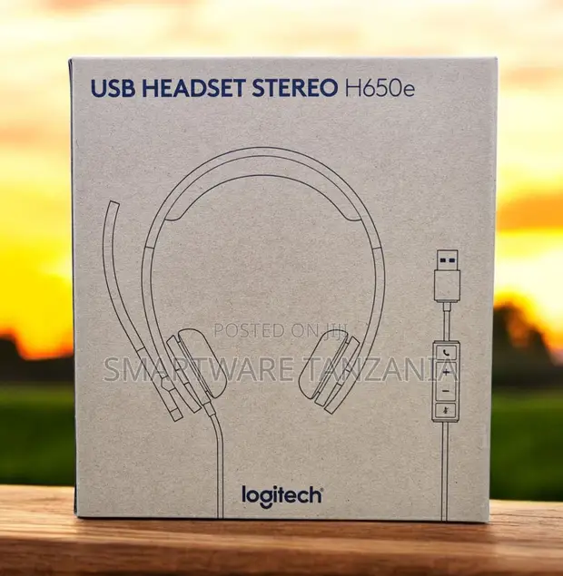 Logitech H650e USB Stereo Headset - 1