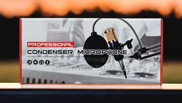 Professional Condenser Microphone Kit with Boom Arm - 1